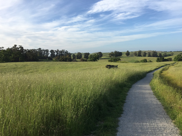trail